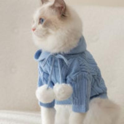 Bekleidung & Schuhe – Pullover für Hunde