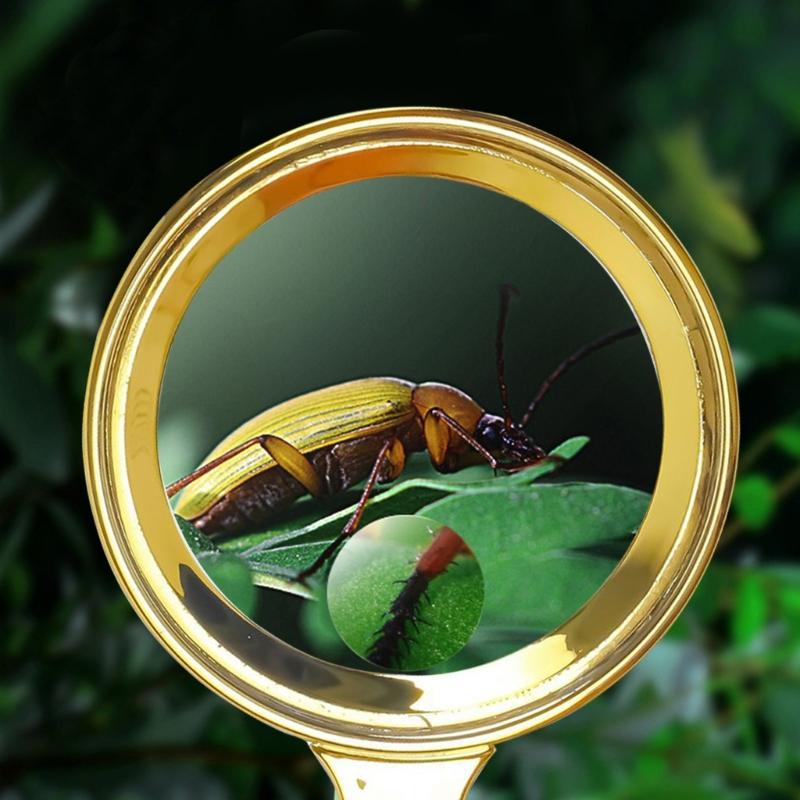 10X Handheld Magnifying Glass Shatterproof Reading Magnifier for Seniors and Kids,Non-Slip Handle Magnifier