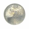 Soft Pearl Transparent Petrolatum Handmade Ball Pinch Toy  Office Stress Relief Tools