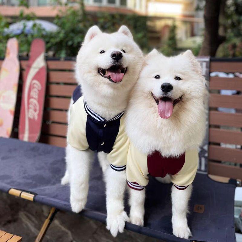 M~7XL Warm Big Dog Baseball Suit Medium Large Dogs Autumn Winter Clothing Golden Retriever Labrador Dog Sweater Thick Style