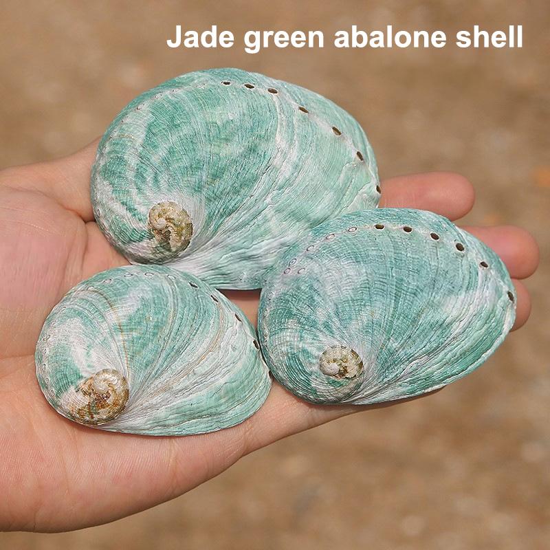 1 Stück DIY Damen Halskette Geschenk Zubehör Weiß Natürliche Abalone Muschel Anhänger Tropfenform Für Schmuckherstellung