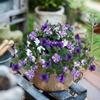 Silk Material Artificial Silk Flowers UV Resistant Faux Silk Morning Glory Flowers Artificial Trumpet Flower Wedding Decoration