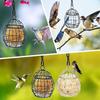 Iron Hanging Bird Feeder Bite Resistant with Hook Chain Bird Feeding Wire Cage Squirrel Proof Mesh Hanging Bird Food Station