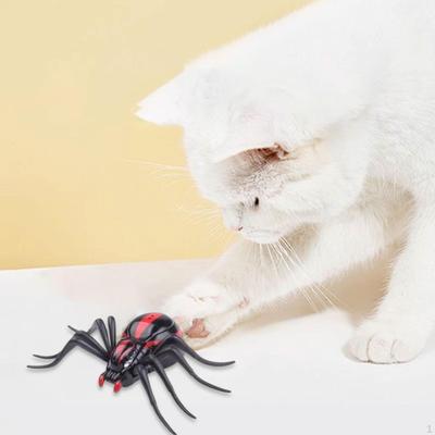 RC Tier Spielzeug Zubehör Geschenke Vielseitiges Zubehör Spiele Katze Ärgern Streich für Halloween