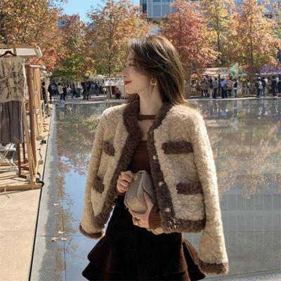 Women's Short Lambswool Coat - 2025 Retro Style, Autumn/Winter Plush, Loose Fit, Cotton-Padded Fur Design