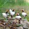 Miniature Landscape Accessory for Aquariums Resin Red-Crowned Bird Figurines, Realistic Statues with Rock Base, Mini Weatherproof Outdoor Ornaments