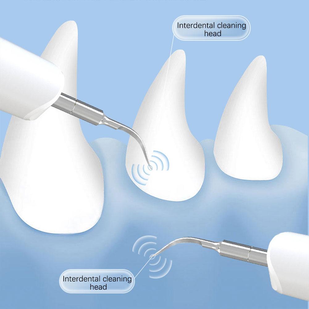 Psí zubní škrabka na odstraňování zubního kamene, Ultrazvuková sada na čištění zubů, USB dobíjecí čistič zubů, Odstraňování zubního kamene, Pro domácí mazlíčky