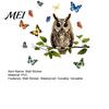 Removable PVC Home Decoration Owl Butterfly Wall Sticker, Forest Animal Illustration Decorative Decals, Seasonal Interior Ornament Waterproof