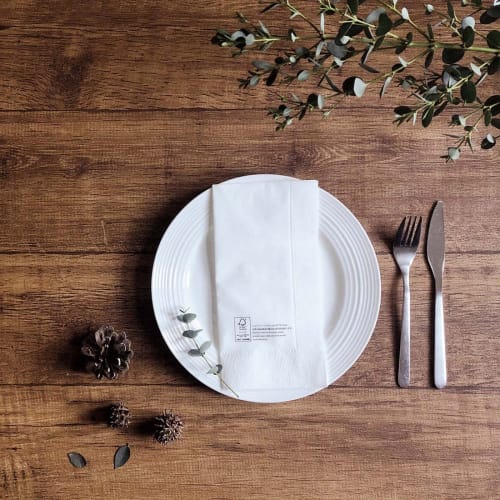 Artnap Commercial Paper Napkins, 45x45cm, FSC Certified, 2-Ply, 50 Count, TS-119, Made In Japan