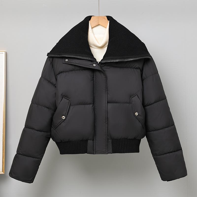 Fashion Winter Woman Parkas Loose Thick Warm Short Jacket Women's Coats