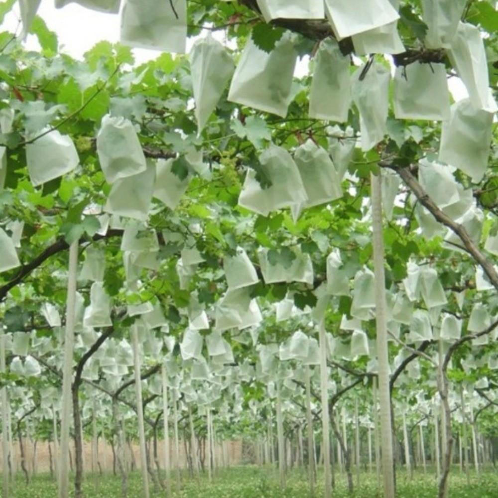 100Pcs Anti-bird Nursery Bags Breathable Insect Barrier Pouch  Garden Greenhouse