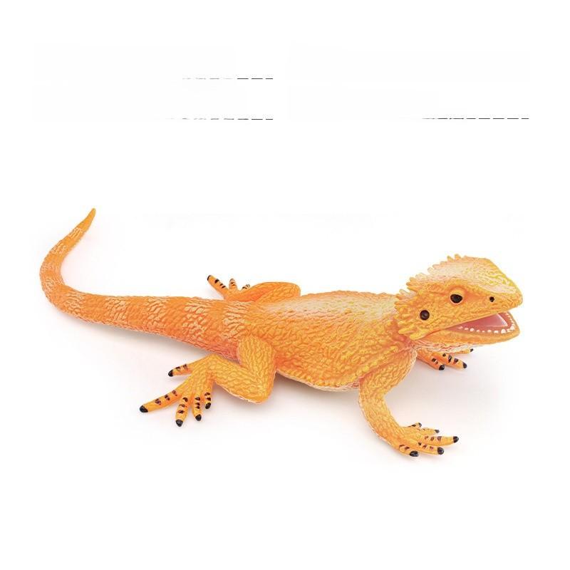 Amphibian Lizard And Reptile Model Pvc Static Figures For Kids Use Educational