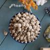 Dwarf Mini Skeleton Set: 20-Piece Halloween & Day of the Dead Decor for Flower Pots and Surfaces