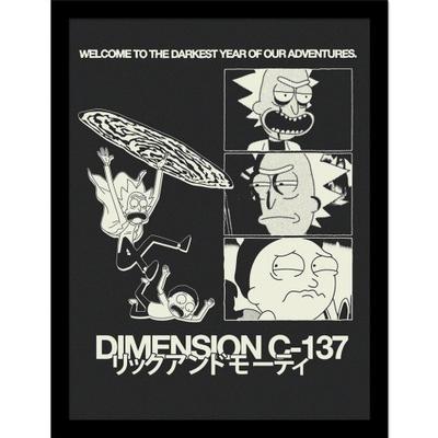 Dimension C-137 Framed Poster