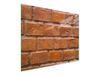 GLASSCHNEIDEBRETT 52x30 ZIEGEL