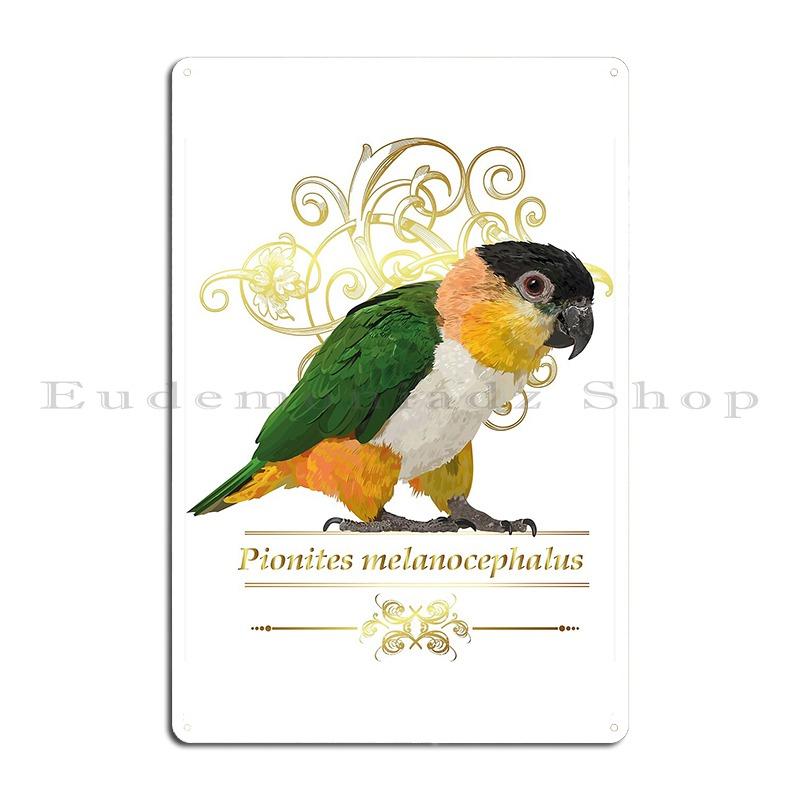 black headed caique caiques Vintage Parrot Illustration Metal Sign PaintingCustomized Cave Garage Wall Cave Tin Sign Poster 20x30cm(7.8x11.8inch)