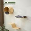 Miaolisi Wall-Mounted Solid Wood Cat Climbing Frame