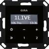 Встроенное Радио Gira RDS Ohne Lautsprecher Schwarzglasoptik (228405) Черный