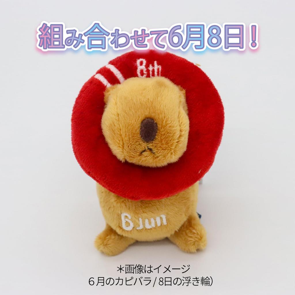 Take Off Plush Otter 365 August