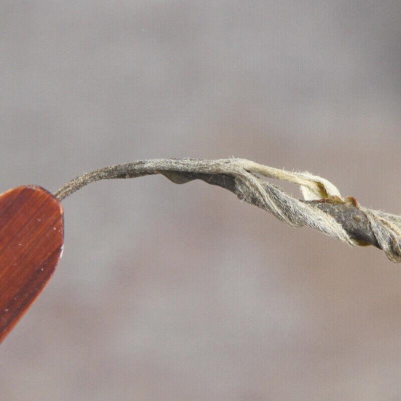 500 г оптом органический чай польза для здоровья Древний чай пуэр зеленый чай — фото 7