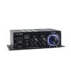 DIY Mini Power Amplifier AK-280, 12V, Cross-Border Hot Seller