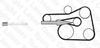 Opel 2.0 Cdti Ecoflex B20Dth Lfs Timing Locking Tool Kit Premium