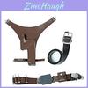 Costume de carnaval pentru femei – Costume de carnaval pentru femei