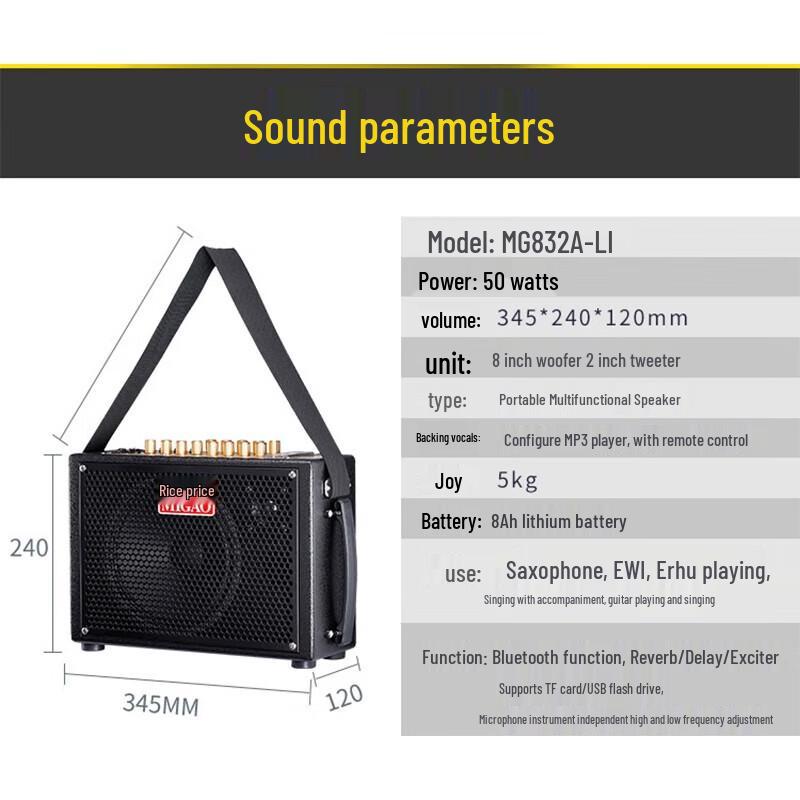 Migeer MG832A Portable Musical Instrument Speaker
