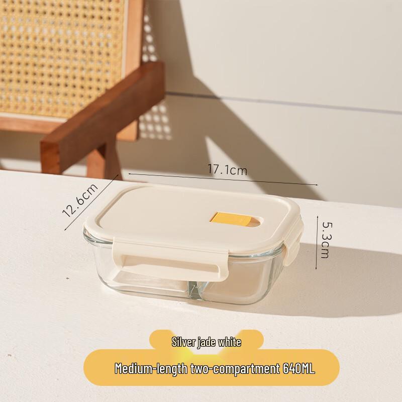 BOLIDOMI Rectangular 2-Compartment Glass Lunch Box