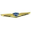 Universal 3D Car Logo for Infiniti Q50L, FX35, G25 - Modified Hood & Tail Appearance.
