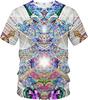 Módní Psychedelický Vzor Grafické Tričko Pánské 3D Tištěné Umění Hip Hop Osobnost Kulatý Výstřih Cool Krátký Rukáv Trička Unisex Vrchní Díly