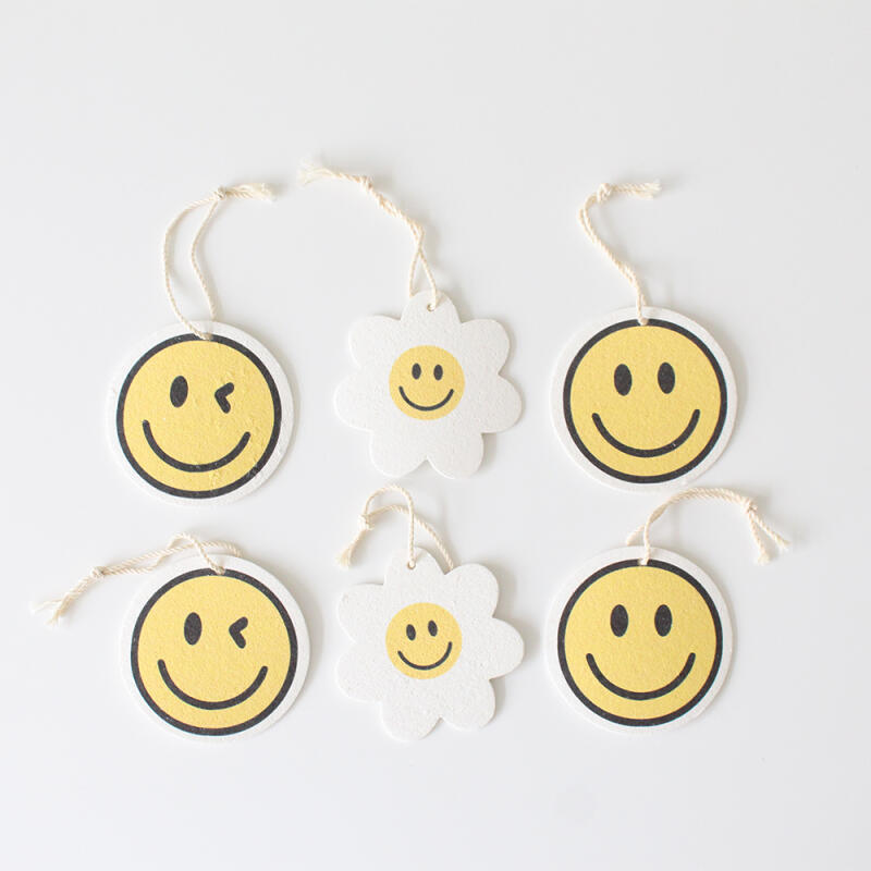Set de 6 Paños Comprimidos Sonrisa de Margarita