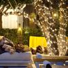 Pailide Christmas Fairy String Lights