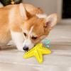 Dog Starfish Teething Toy & Toothbrush: Pet-Friendly Chew Stick
