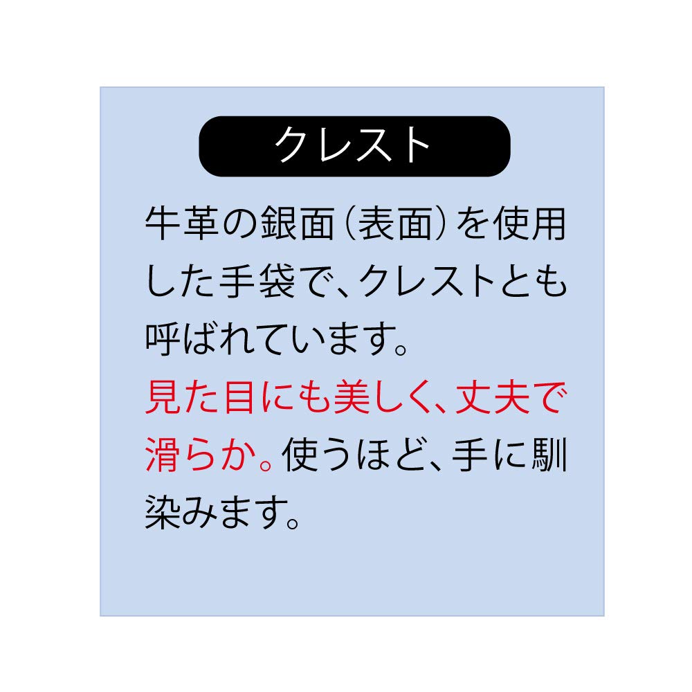 Otafuku Gloves Leather Gloves Crest with Wrist Velcro and Made In Japan Size L [Cow Pads, Leather] #424 White,