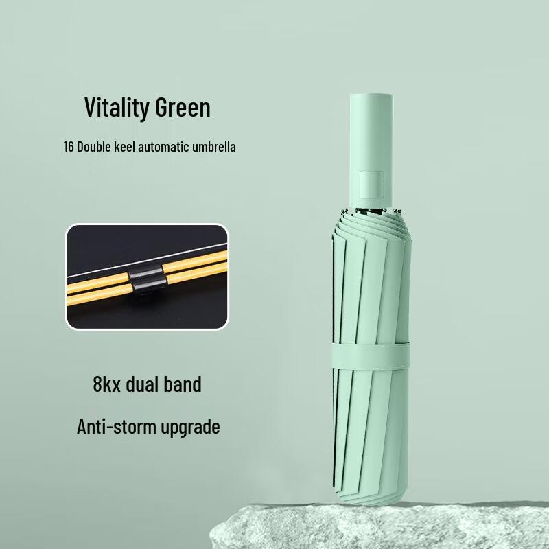 JOYUKE Automatic Sun & Rain Umbrella 16 Ribs