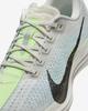 FQ7261-006 Nike Pegasus Plus Road Running Shoes Platinum Tint (Womenas)