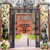 2pcs Door Banner Spring Summer Cat Flower Welcome 12x70.8in Polyester