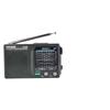 Desheng Portable Multi-band AM/FM Radio for Seniors