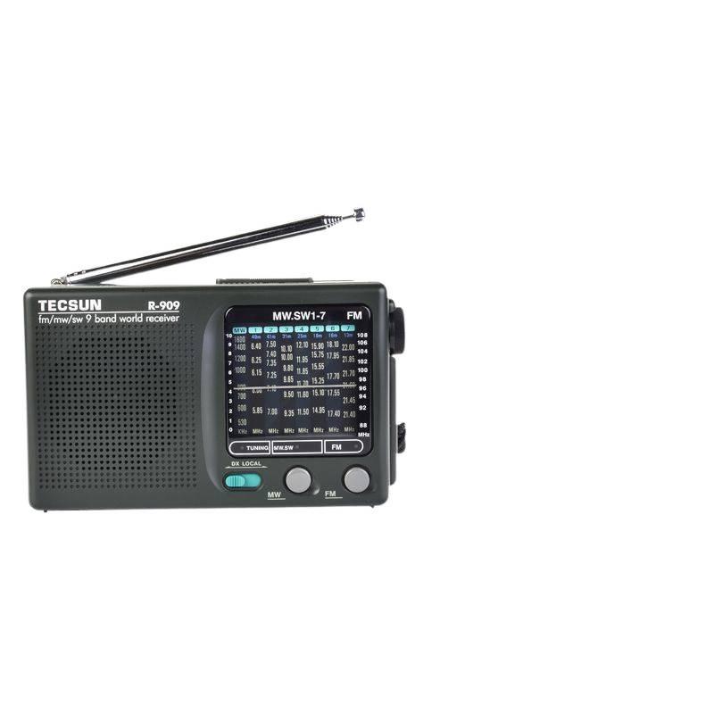 Desheng Portable Multi-band AM/FM Radio for Seniors
