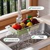 Scolapiatti a Doppio Strato Estensibile Cestino per Lavello da Cucina per Lavare Verdure e Frutta Design Moderno
