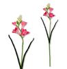 Tak - Donkerroze schuimfreesia 59 cm