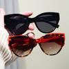 Personality Exquisite Cat Eye Sunglasses Women Men High End Simple Artistic Sense Sun Glasses Climbing Camping Beach Party Shade Glasses