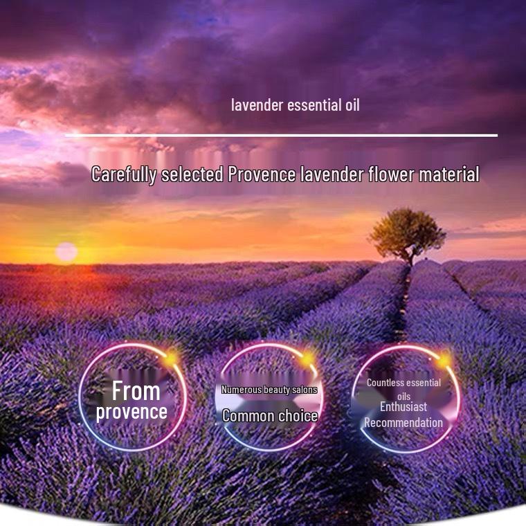 Lavender Essential Oil for Skincare: Natural Plant Extract for Soothing Sleep, No-Rinse, Suitable for Whole Body Massage.