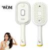 Frizz Control Spray Brush Electric Steam with Essence & Measuring Cup, Rechargeable Anti-Static Scalp Detangling Hair Massager Brush, Oil Misting