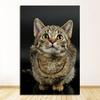 Decor Decorations For House Decoration Room Wall Stickers Home Decor Living Room Paintings By The Cat Poster Painting Nursery