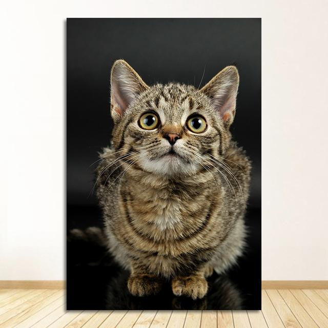 Decor Decorations For House Decoration Room Wall Stickers Home Decor Living Room Paintings By The Cat Poster Painting Nursery