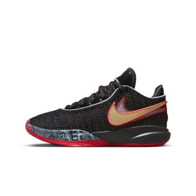 LeBron 20 Miami Heat