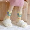 Autumn and Winter 5 Pairs Women's Cartoon Blue Sky White Cloud Butterfly Versatile Warm Plush Mid-Calf Socks