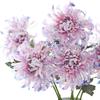 Multicolor Chrysanthemum Artificial Flower Silk Petals Decorative Flower  Event Supplies